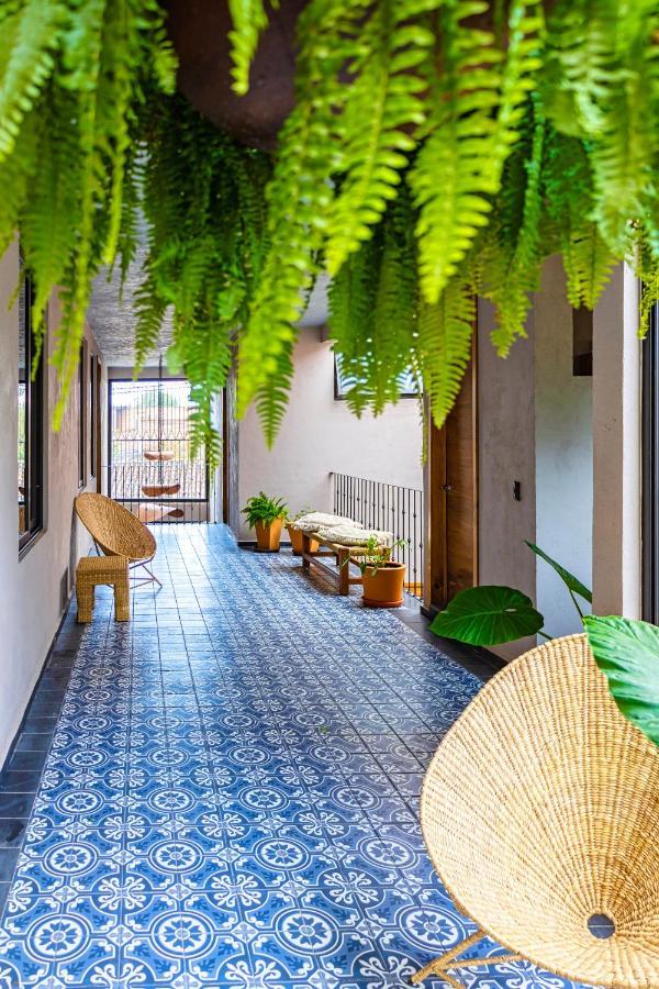 Pátzcuaro Casa Lavanda Hotel Boutique מראה חיצוני תמונה